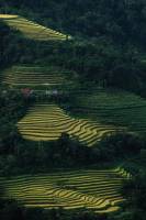 Noémy SMECICAS - SMECICAS NOEMY